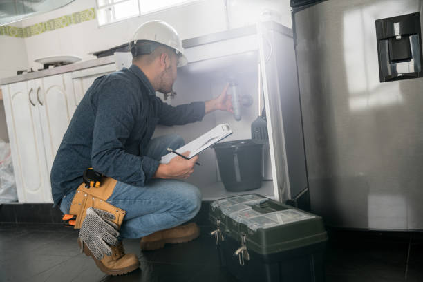 Best Plumbing Inspection Services  in Effingham, IL