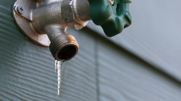 Best 24-Hour Plumber Near Me  in Effingham, IL